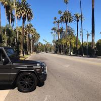 Отзыв от Карен - DTV виза